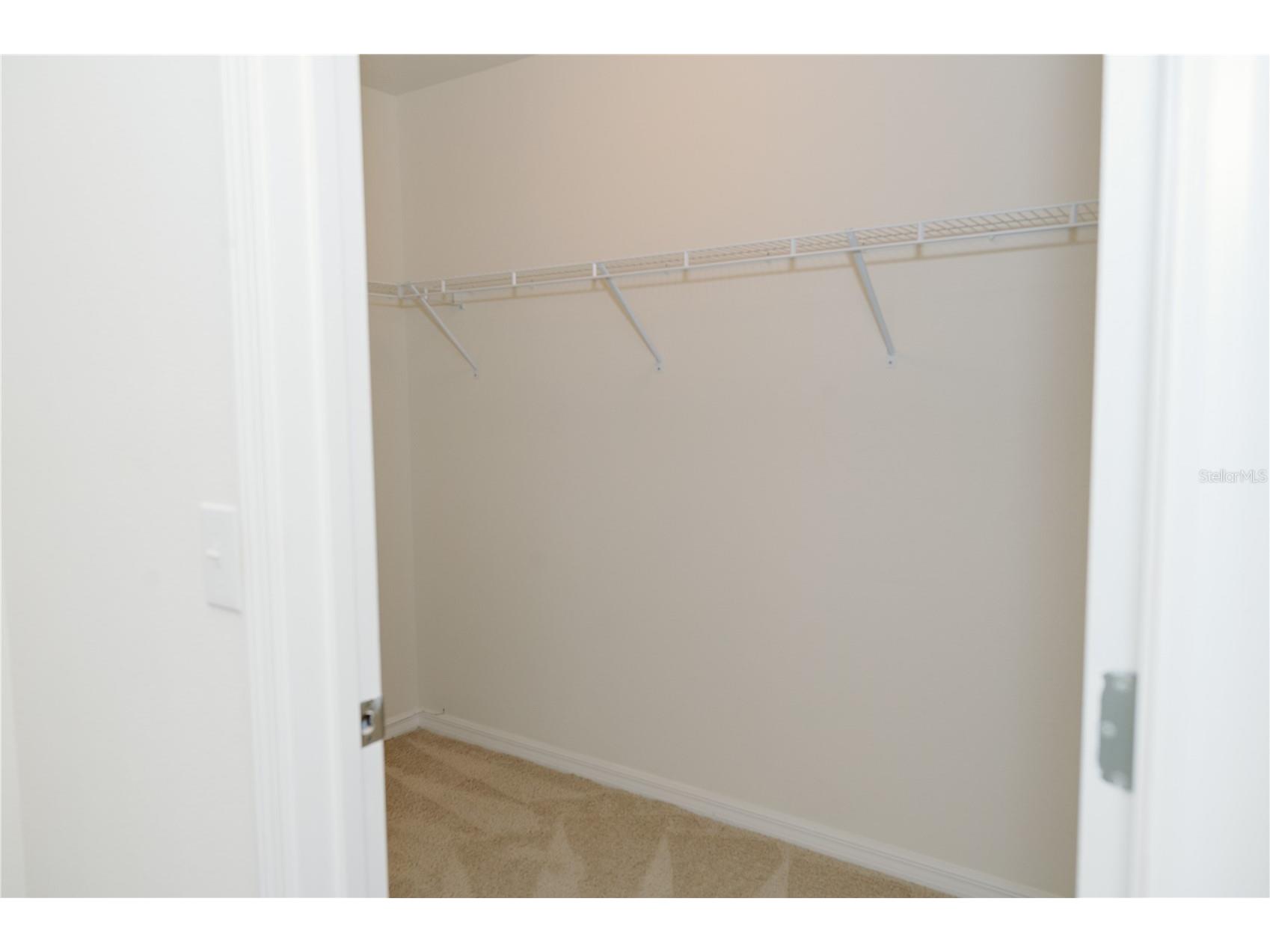 7426 Tuscan Bay Circle Wesley Chapel FL 33545 TB8493963 image32