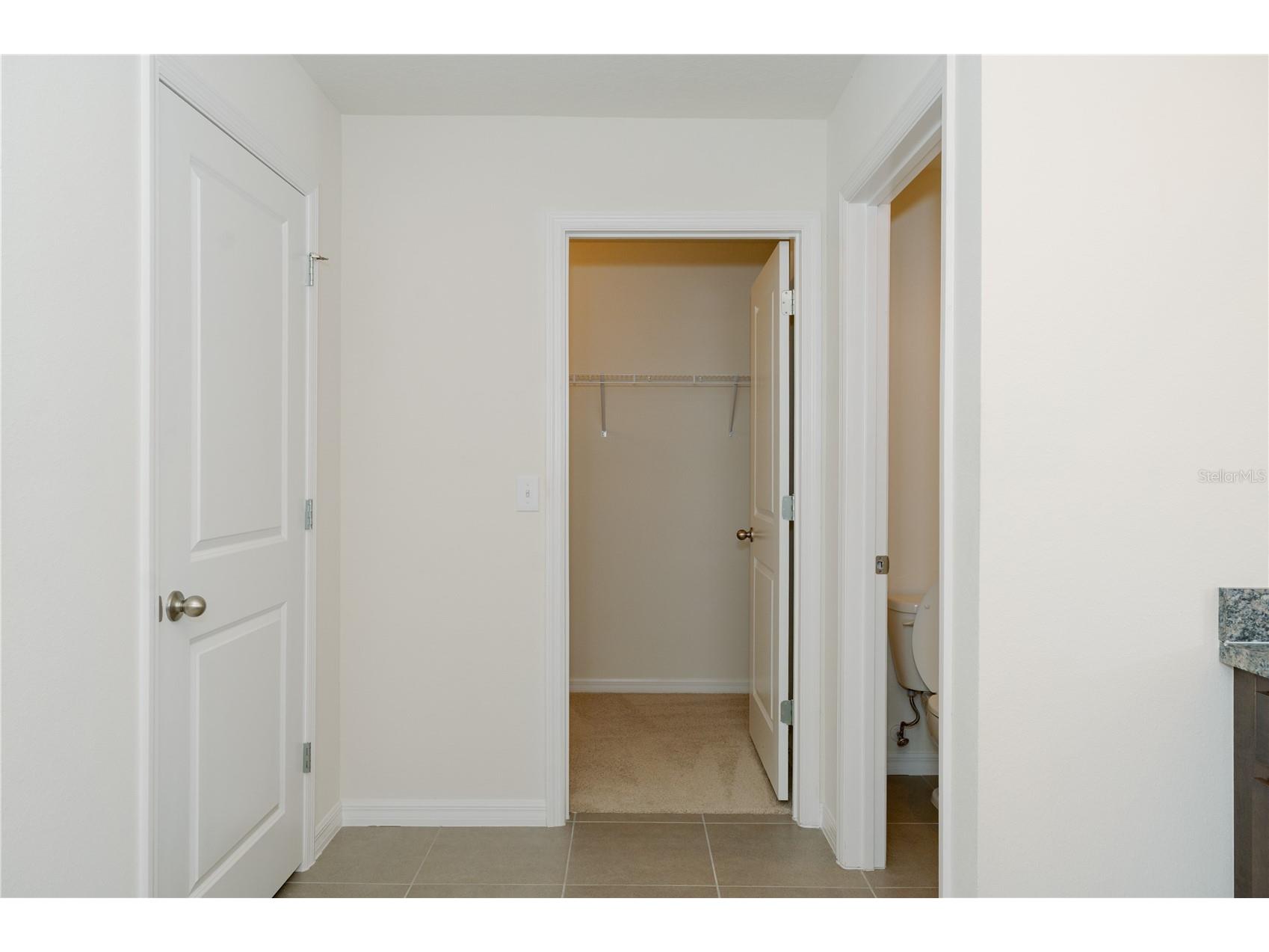 7426 Tuscan Bay Circle Wesley Chapel FL 33545 TB8493963 image33