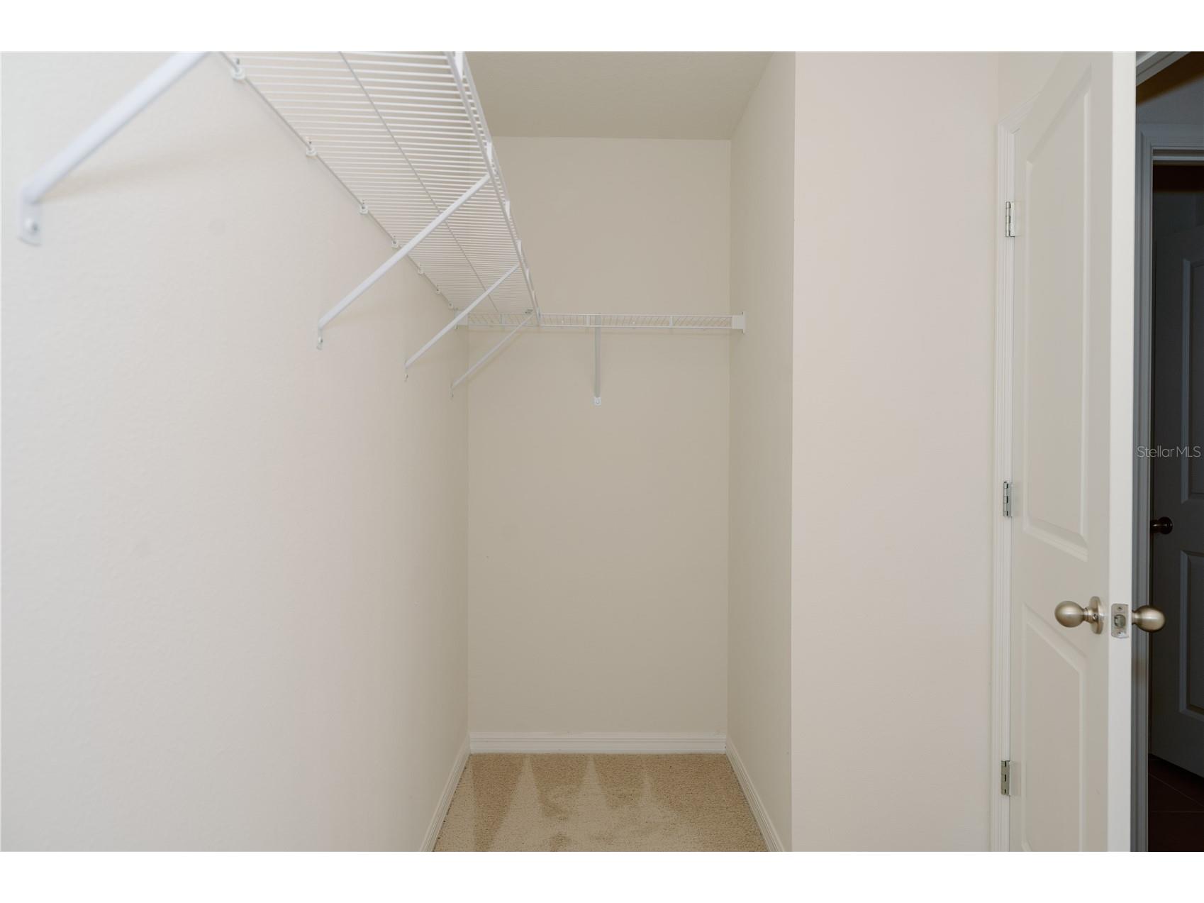 7426 Tuscan Bay Circle Wesley Chapel FL 33545 TB8493963 image34