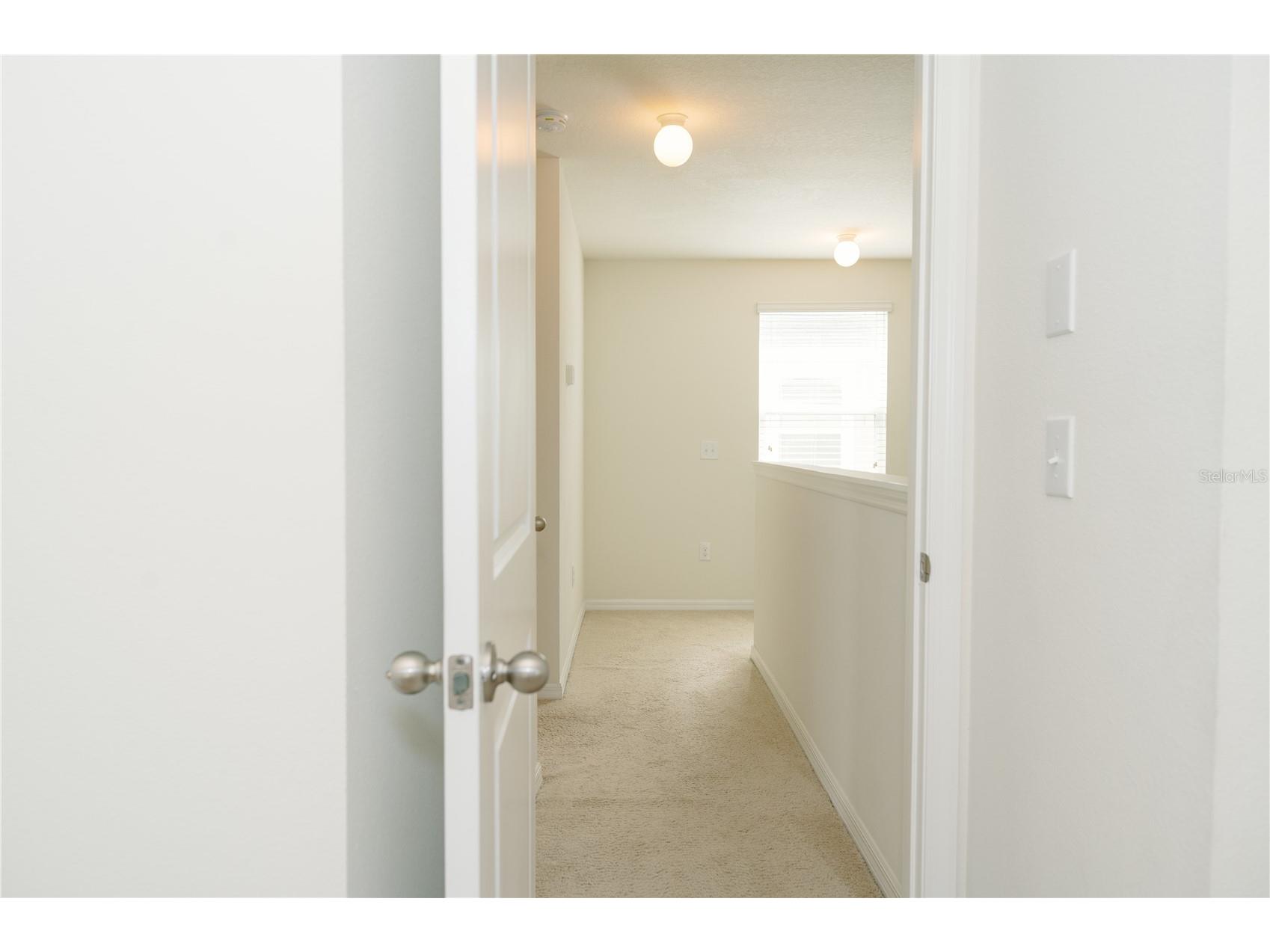 7426 Tuscan Bay Circle Wesley Chapel FL 33545 TB8493963 image38