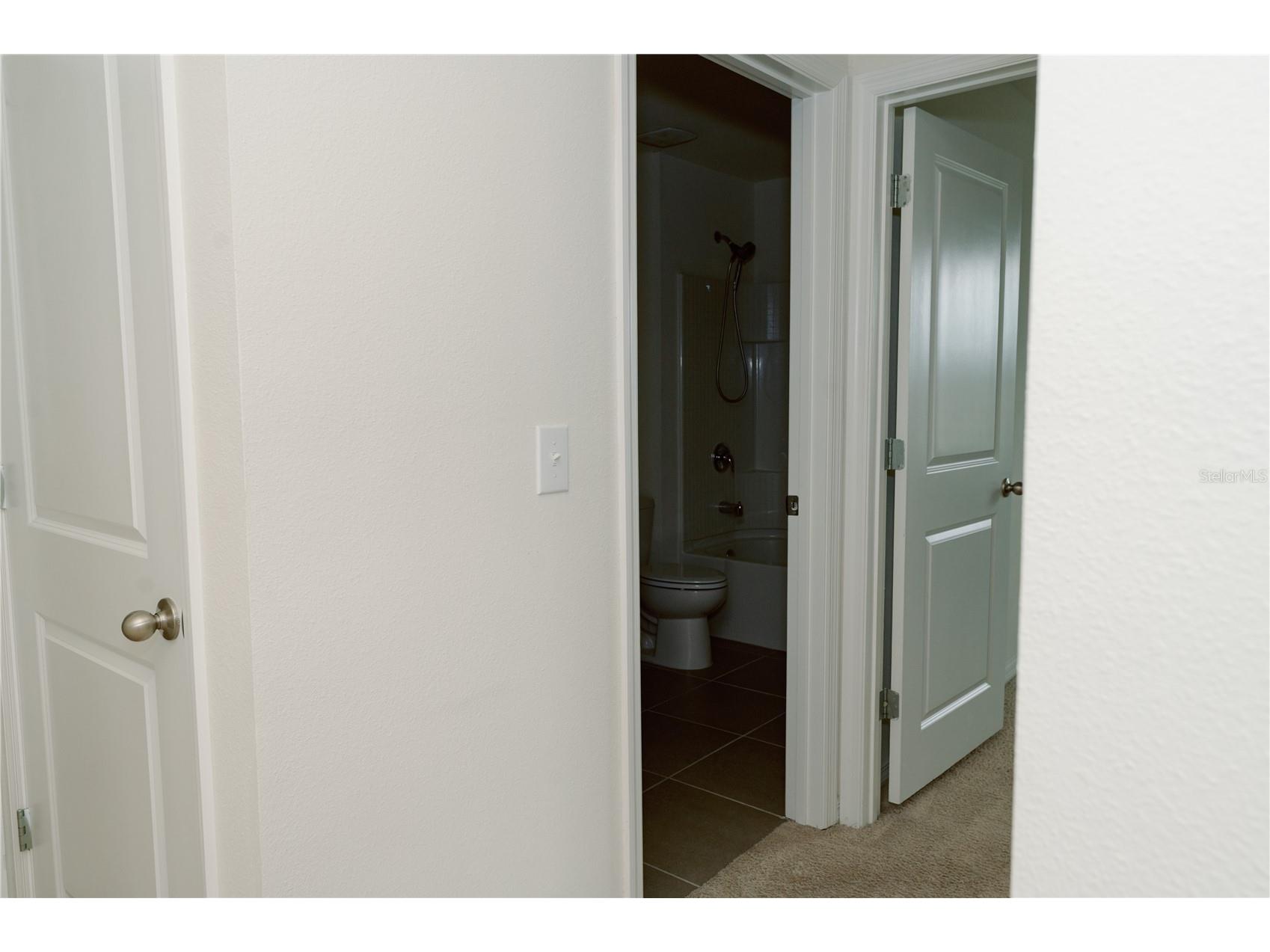 7426 Tuscan Bay Circle Wesley Chapel FL 33545 TB8493963 image43