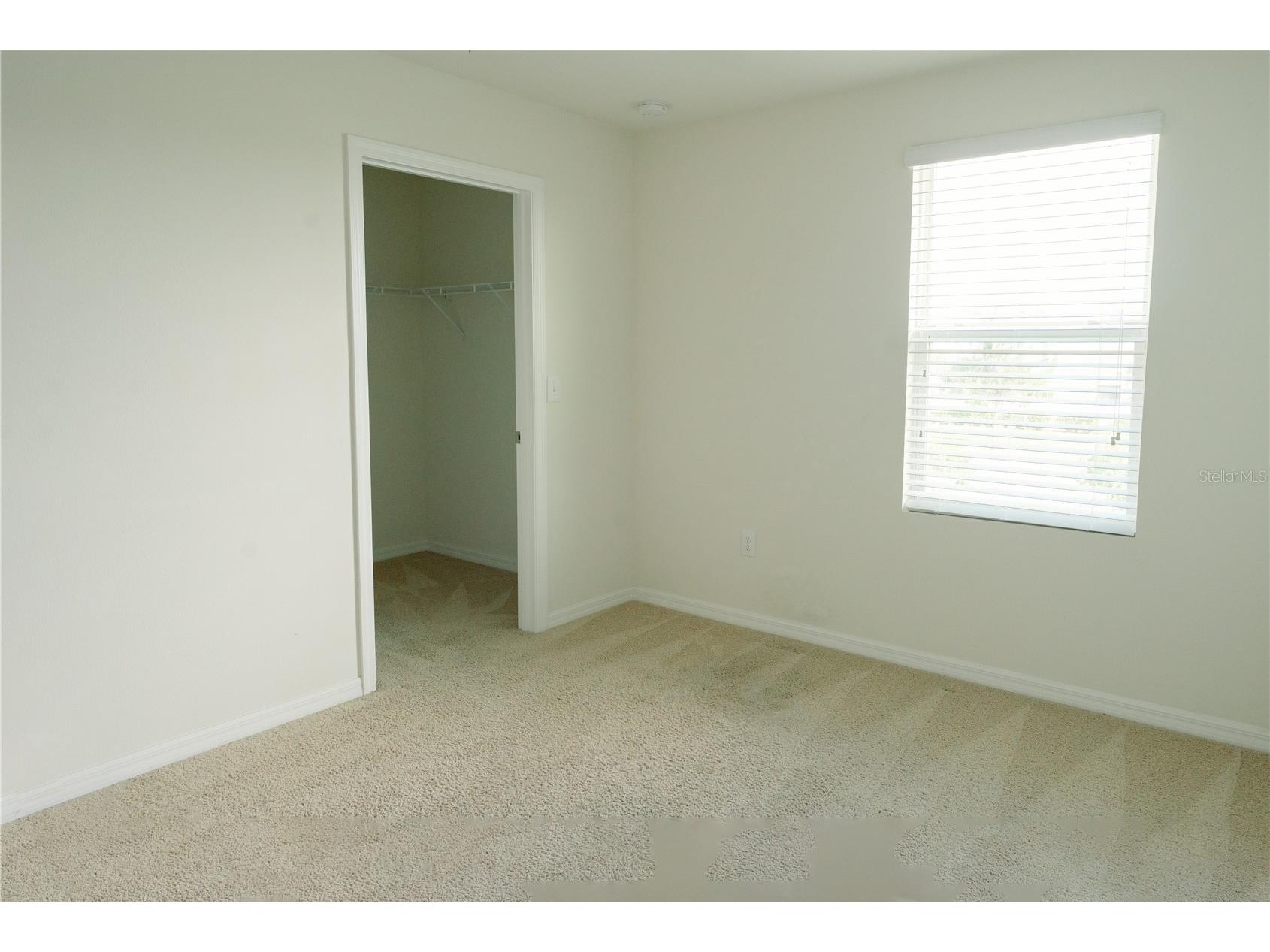 7426 Tuscan Bay Circle Wesley Chapel FL 33545 TB8493963 image48