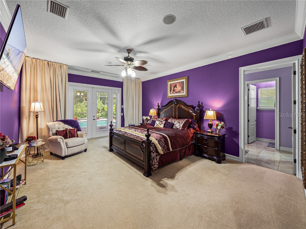 7427 20th Street Zephyrhills FL 33540 TB8398424 image33