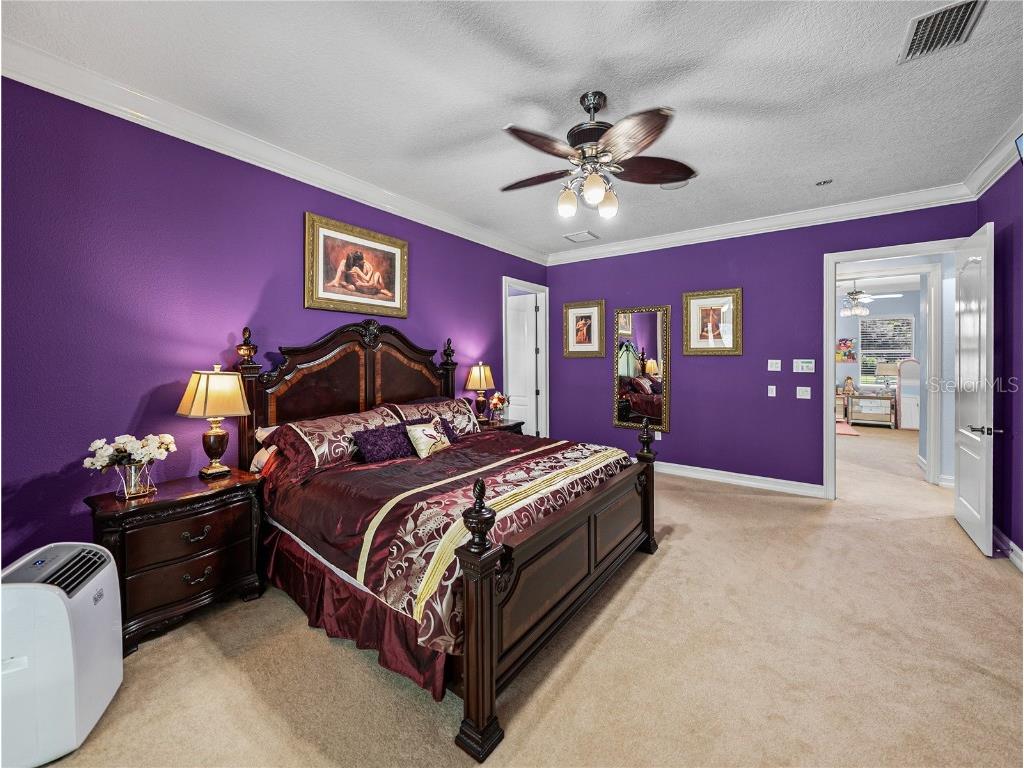 7427 20th Street Zephyrhills FL 33540 TB8398424 image35