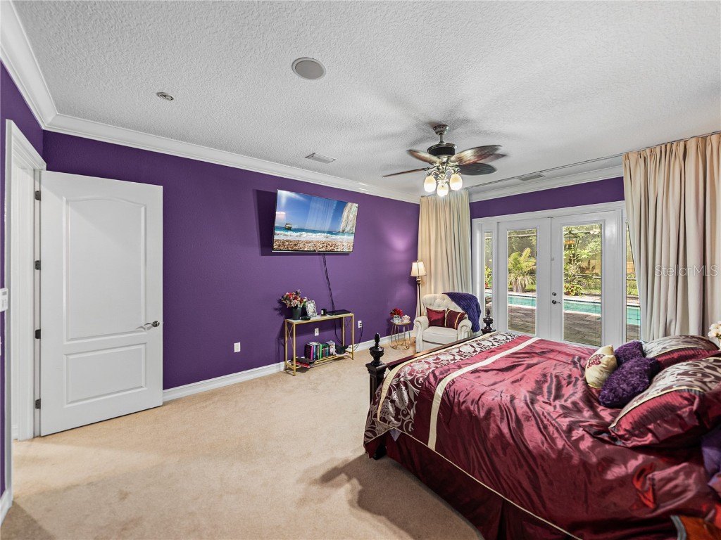 7427 20th Street Zephyrhills FL 33540 TB8398424 image36