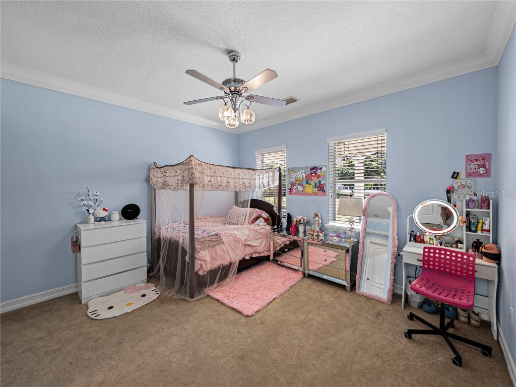 7427 20th Street Zephyrhills FL 33540 TB8398424 image43