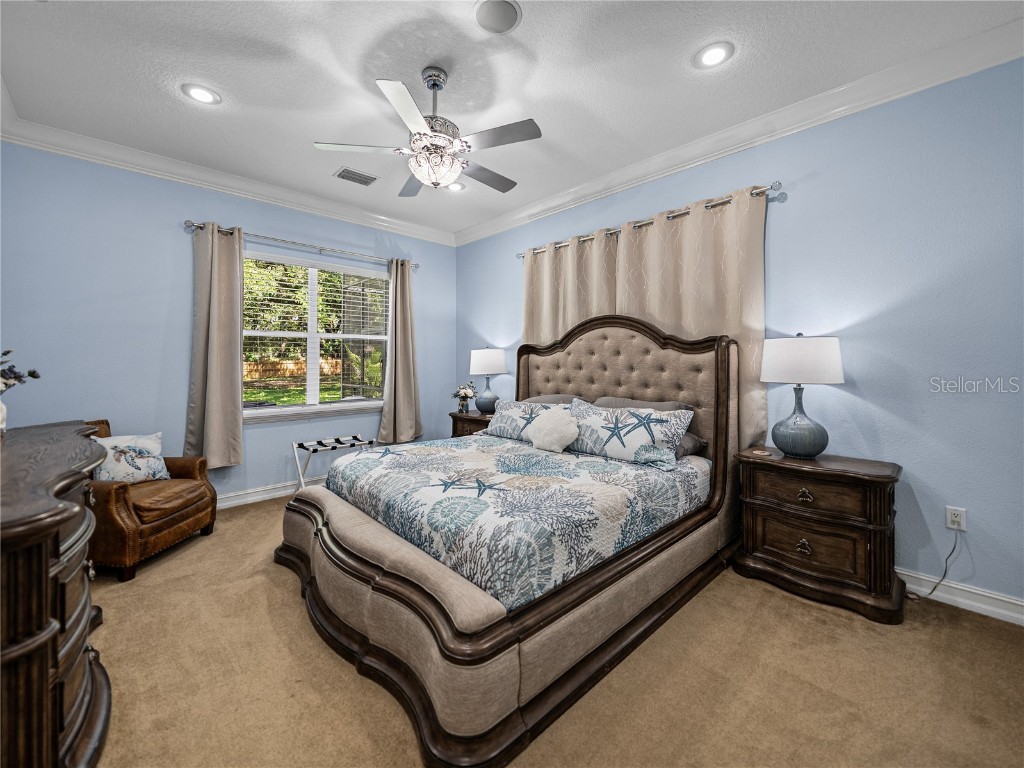 7427 20th Street Zephyrhills FL 33540 TB8398424 image73