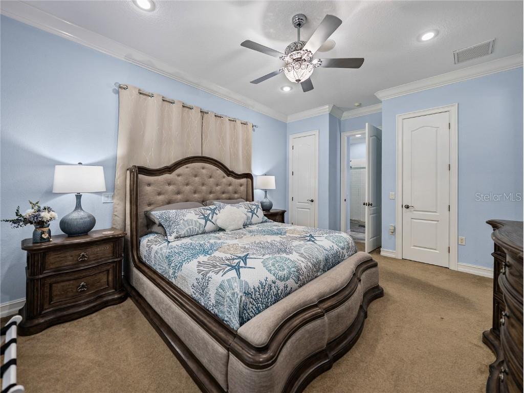 7427 20th Street Zephyrhills FL 33540 TB8398424 image75