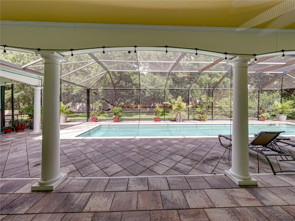 7427 20th Street Zephyrhills FL 33540 TB8398424 image86