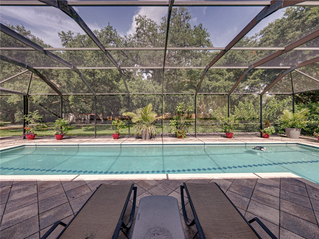 7427 20th Street Zephyrhills FL 33540 TB8398424 image87