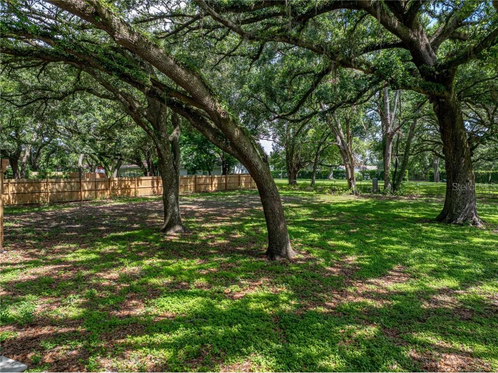 7427 20th Street Zephyrhills FL 33540 TB8398424 image95