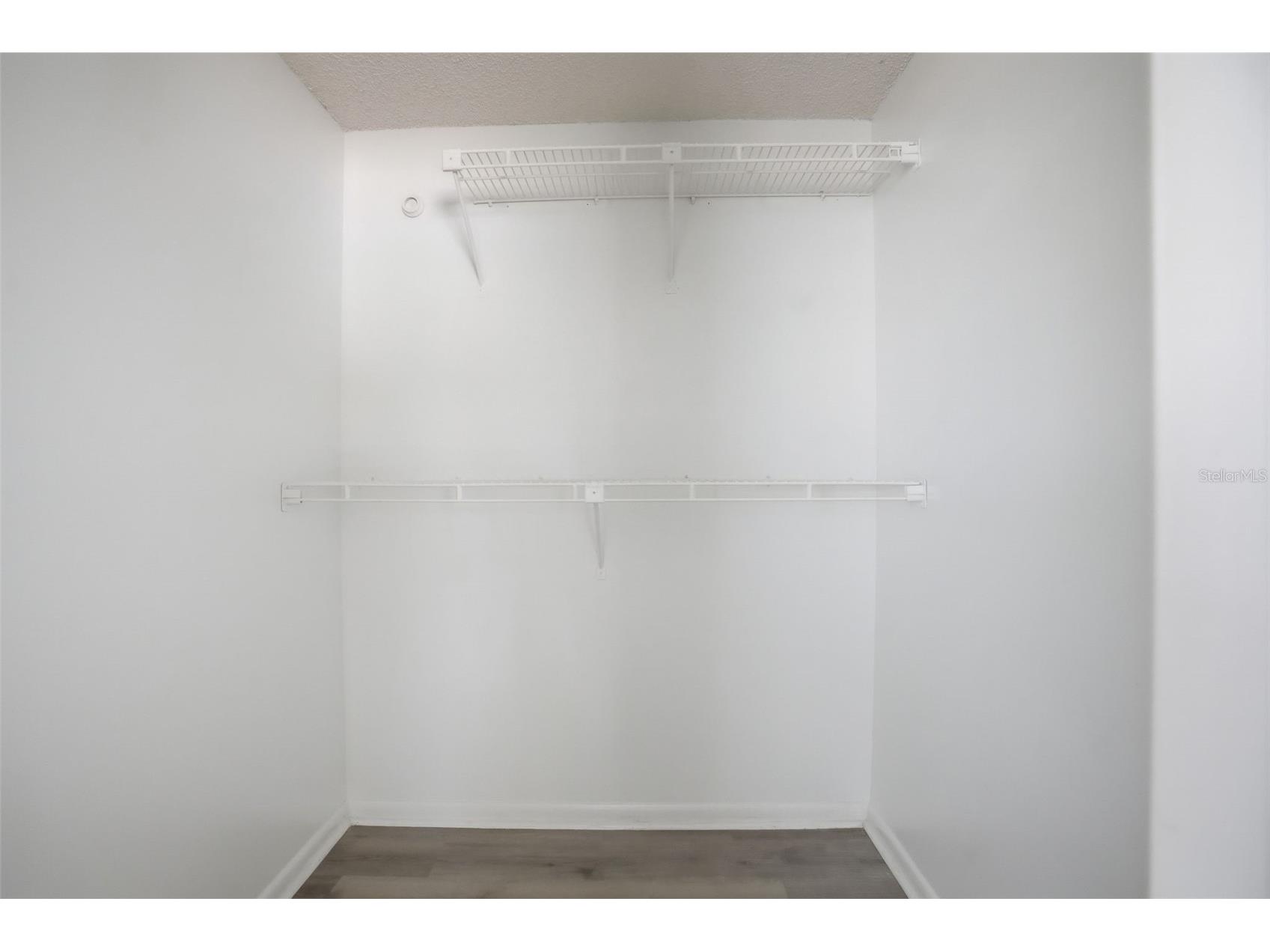 7427 Fireside Drive Port Richey FL 34668 TB8485749 image25
