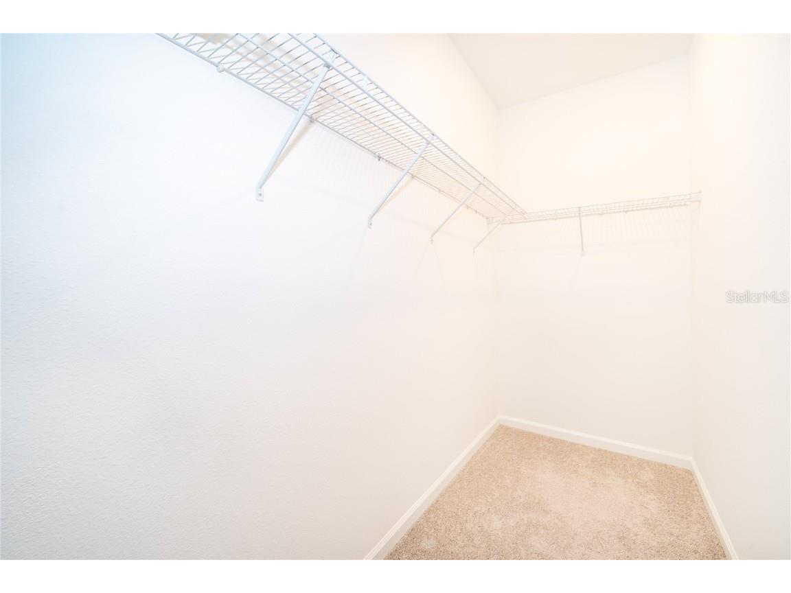 7428 Ivy Tendril Avenue Orlando FL 32829 O6371682 image14