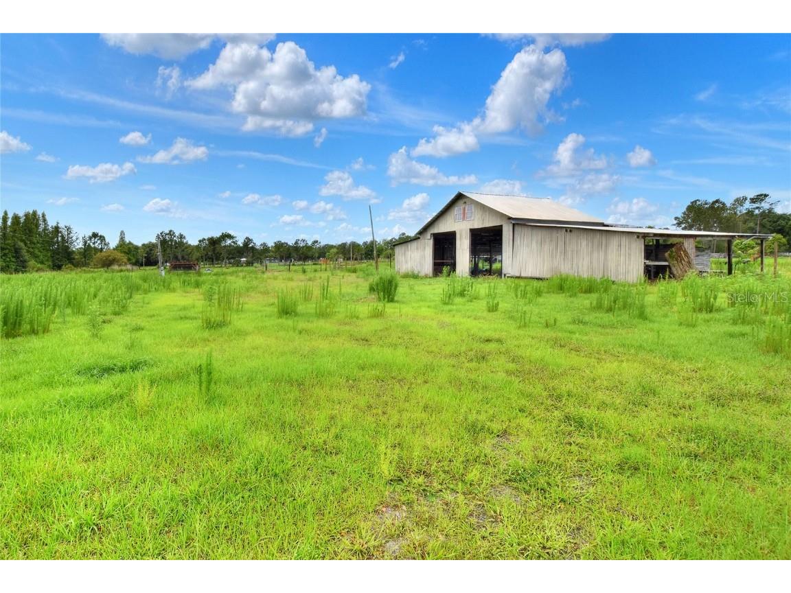 7428 Loghouse Road Plant City FL 33565 T3459032 image1
