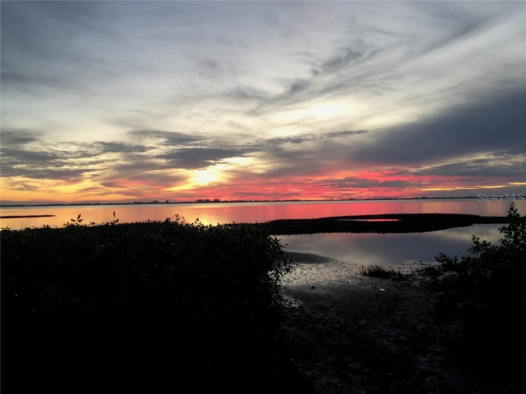 7429 Broughton Street Sarasota FL 34243 A4675170 image20