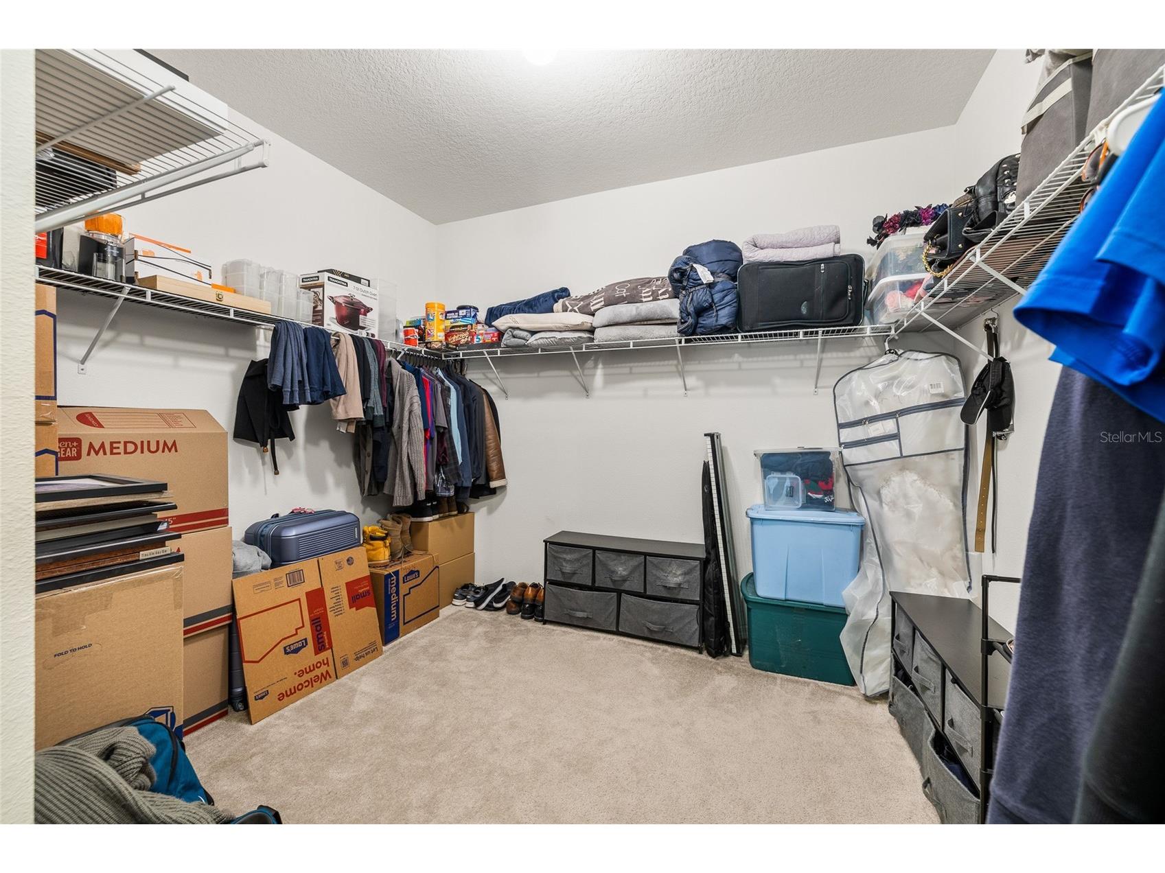 7429 Ibis Drive Lakeland FL 33810 TB8517896 image26