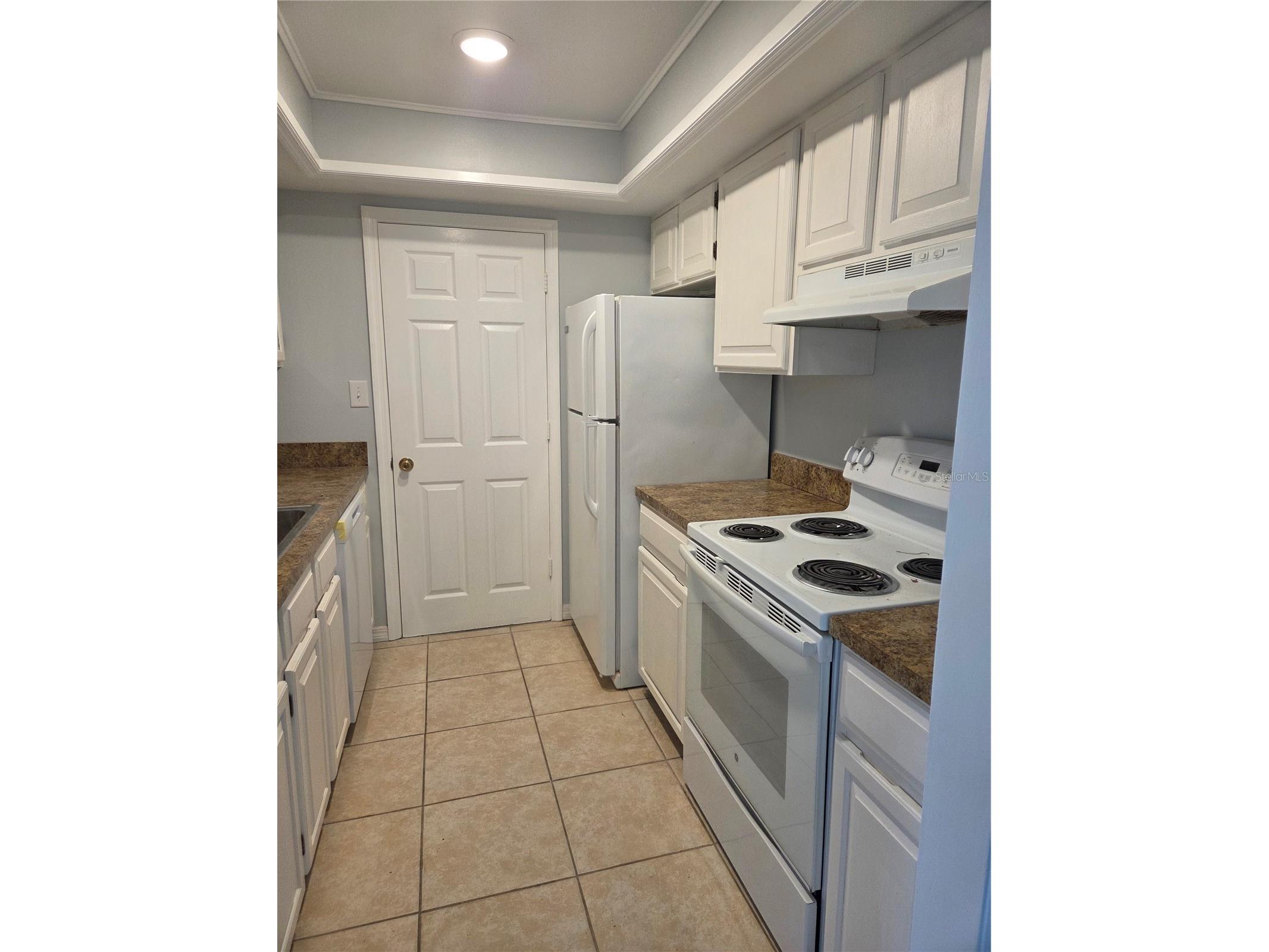 743 E Alfred Street Tavares FL 32778 G5108286 image3