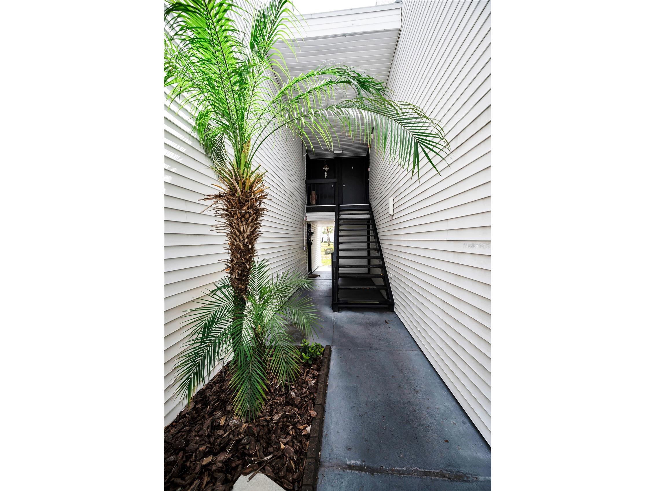 743 Haven Place #743 Tarpon Springs FL 34689 TB8505349 image6