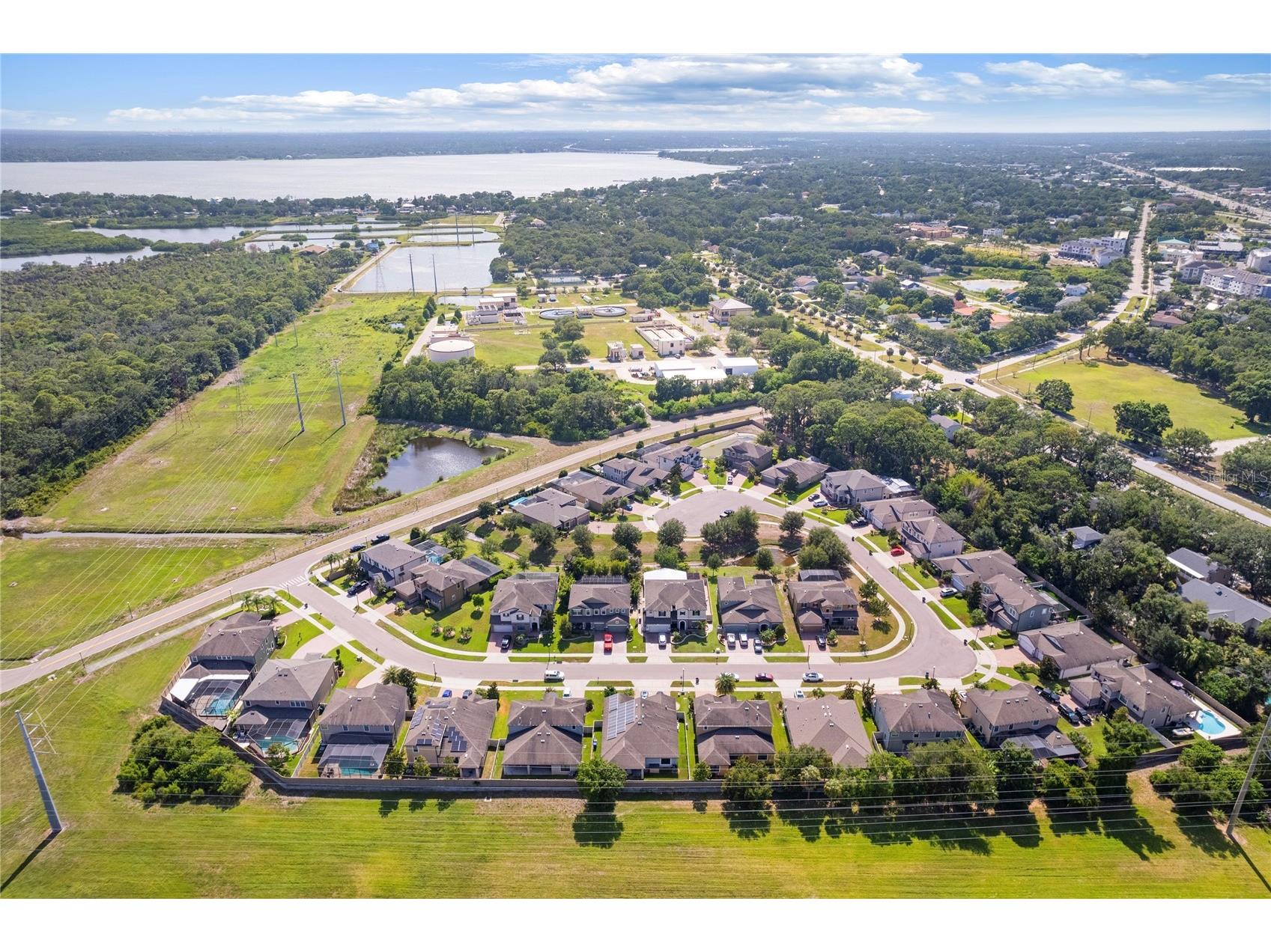 743 Wellington Court Oldsmar FL 34677 TB8515327 image50