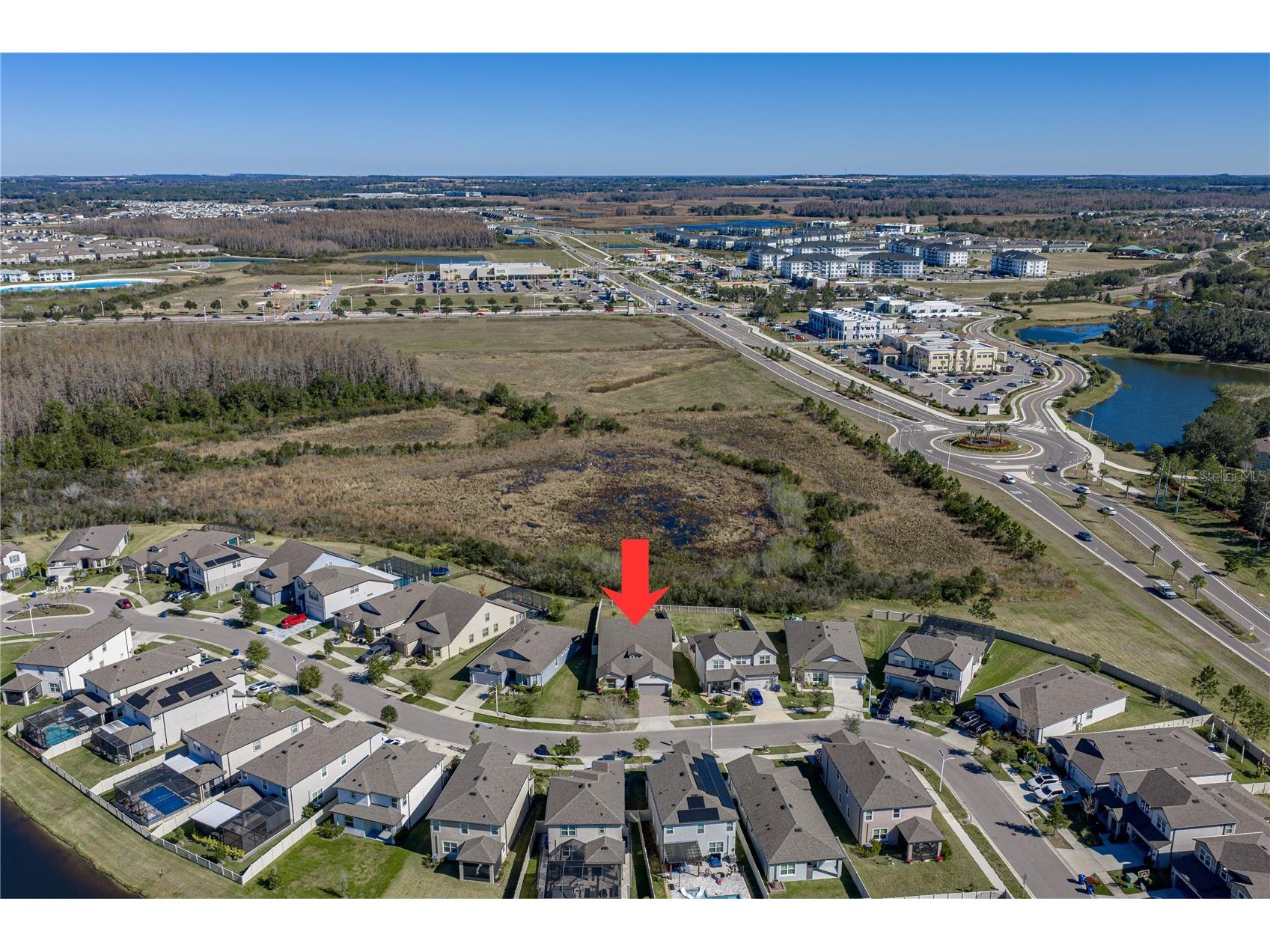7430 Pool Compass Loop Wesley Chapel FL 33545 TB8467135 image4