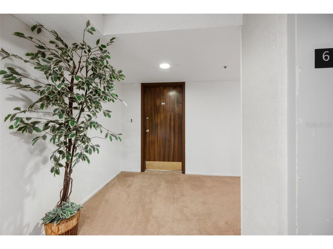 7430 Sunshine Skyway Lane S #601 Saint Petersburg FL 33711 TB8451605 image8