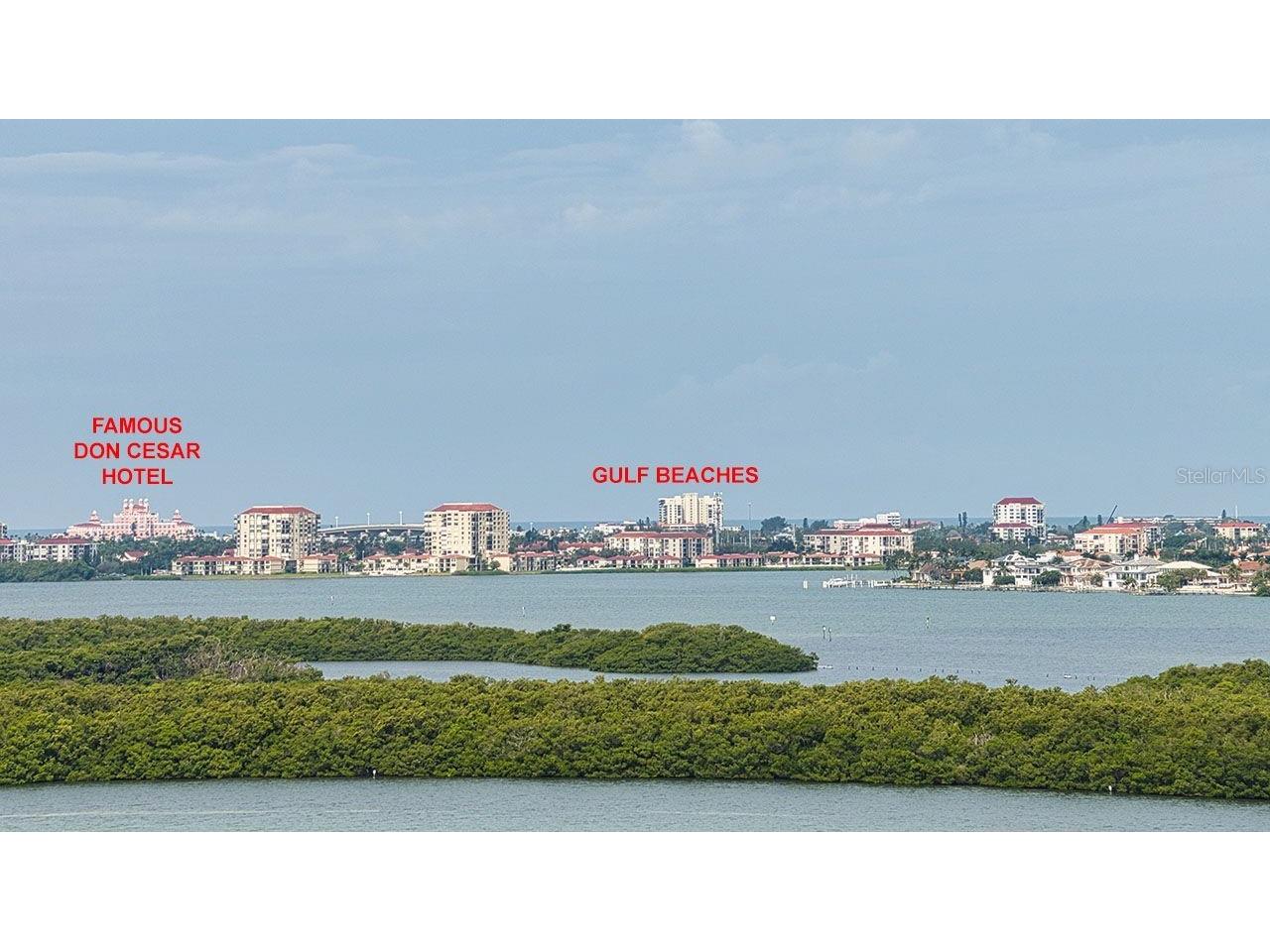 7430 Sunshine Skyway Lane S #804 Saint Petersburg FL 33711 TB8423097 image47