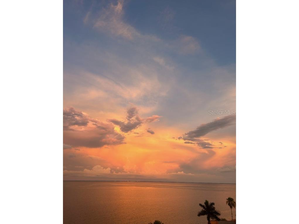 7430 Sunshine Skyway Lane S #804 Saint Petersburg FL 33711 TB8423097 image7