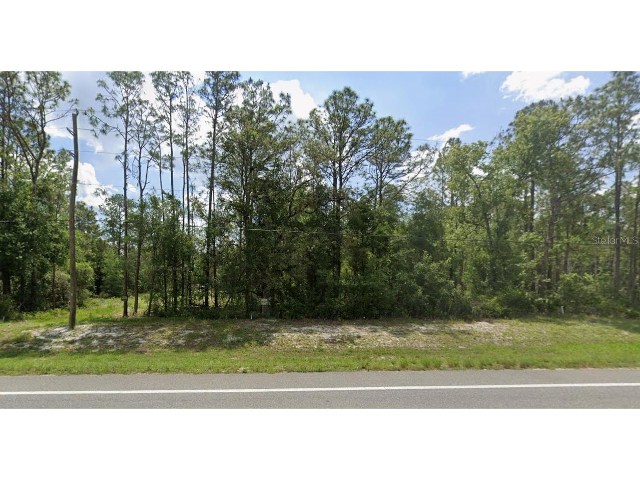 7430 Treiman Boulevard Webster FL 33597 TB8483874 image1