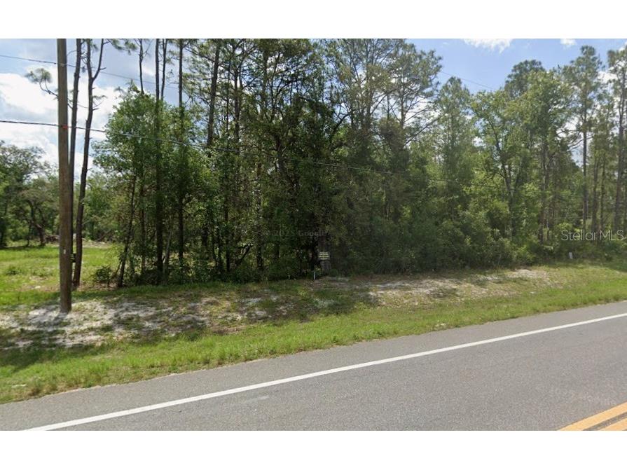 7430 Treiman Boulevard Webster FL 33597 TB8483874 image2