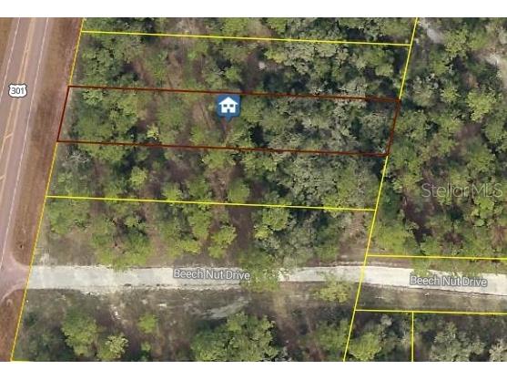 7430 Treiman Boulevard Webster FL 33597 TB8483874 image3