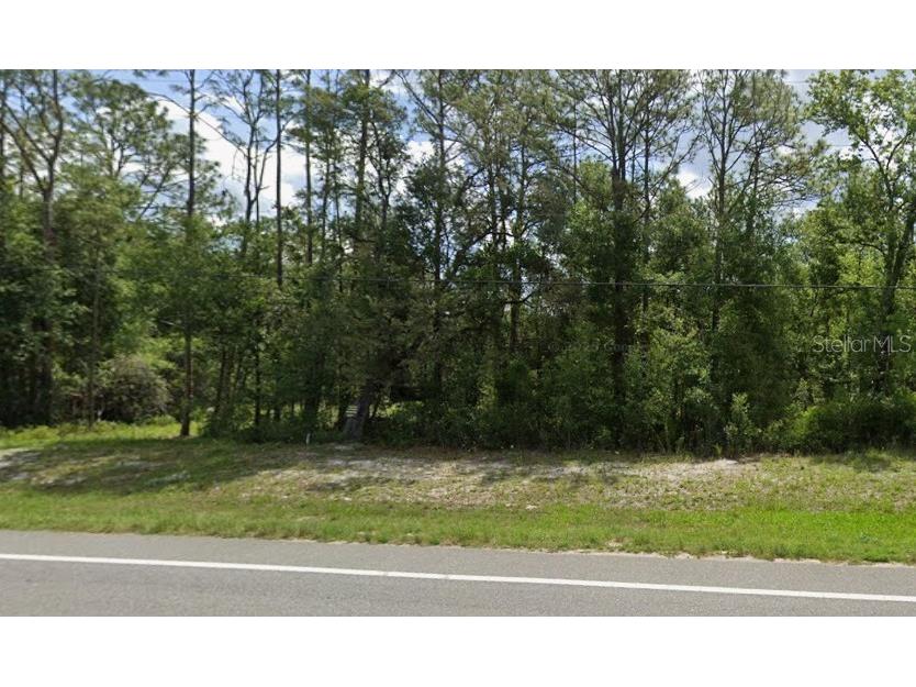 7430 Treiman Boulevard Webster FL 33597 TB8483874 image6