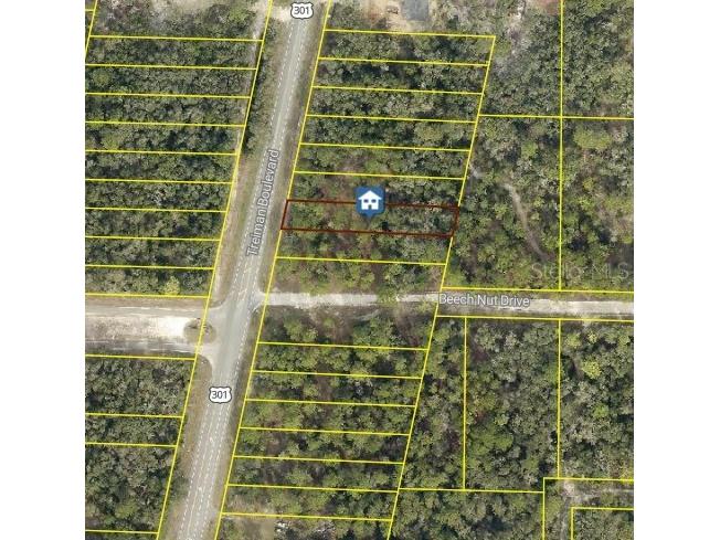 7430 Treiman Boulevard Webster FL 33597 TB8483874 image7