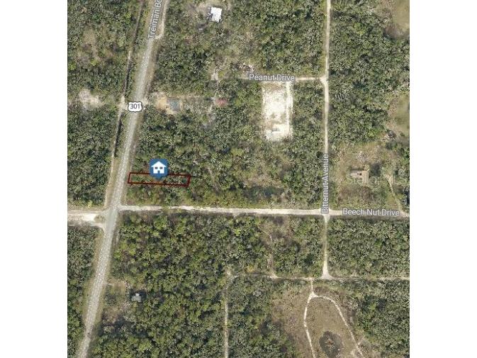 7430 Treiman Boulevard Webster FL 33597 TB8483874 image8
