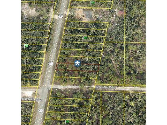 7430 Treiman Boulevard Webster FL 33597 TB8483874 image9