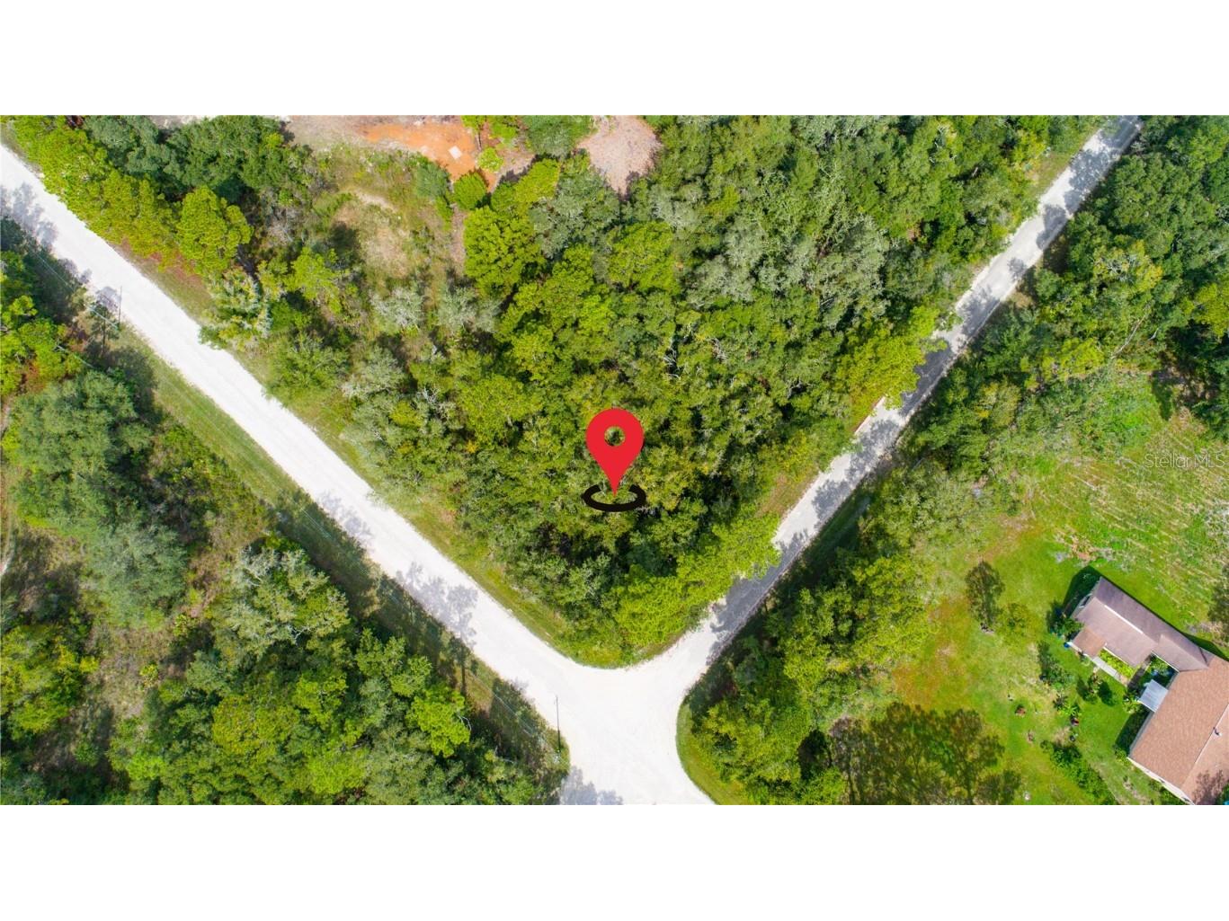 7431 Bitternut Avenue Webster FL 33597 U8218395 image1