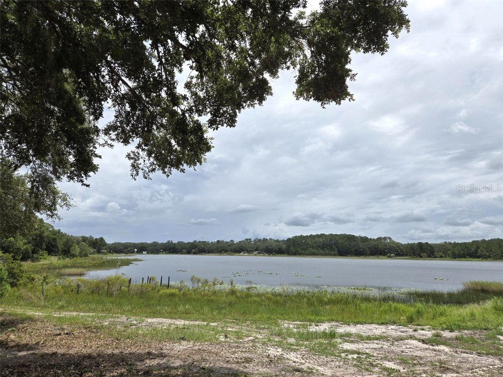 7431 SE 170th Avenue Road Ocklawaha FL 32179 - LAKE BESSIOLA TB8408292 image1