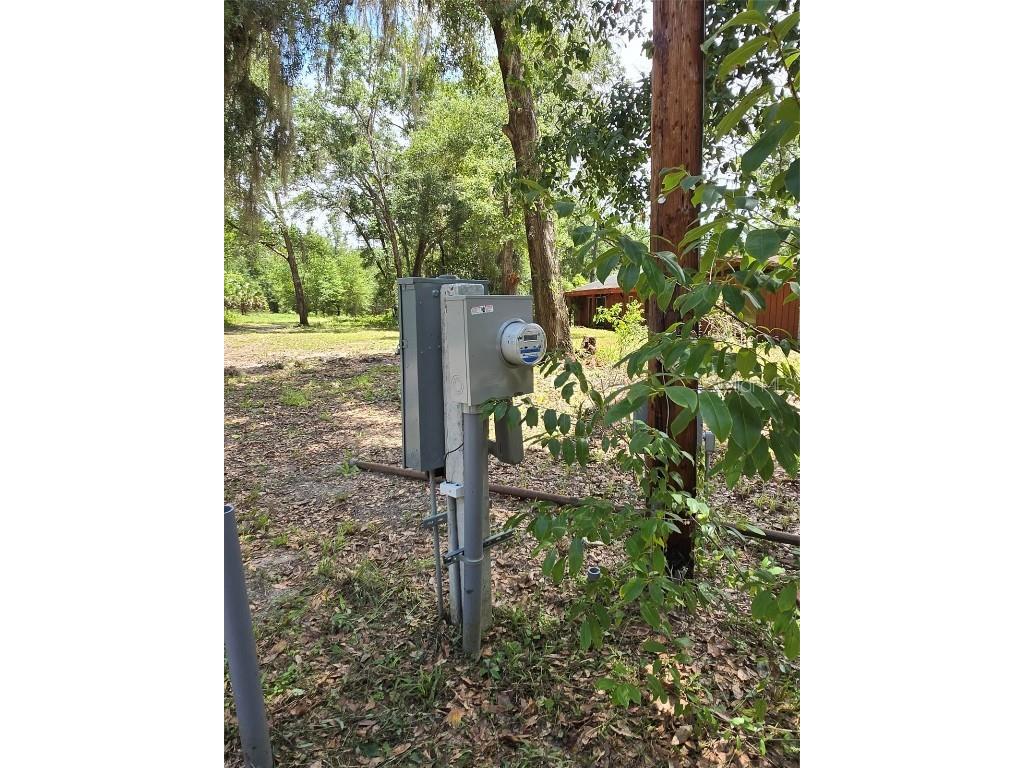 7431 SE 170th Avenue Road Ocklawaha FL 32179 - LAKE BESSIOLA TB8408292 image11