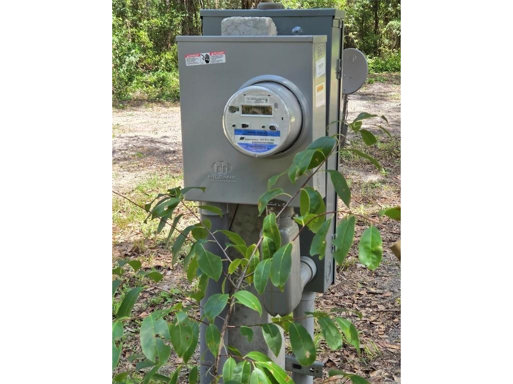 7431 SE 170th Avenue Road Ocklawaha FL 32179 - LAKE BESSIOLA TB8408292 image12