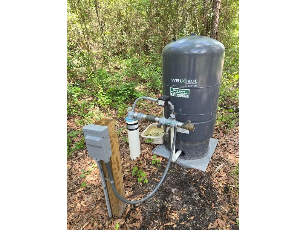 7431 SE 170th Avenue Road Ocklawaha FL 32179 - LAKE BESSIOLA TB8408292 image14