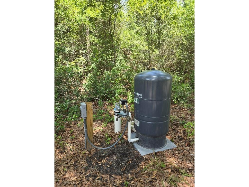 7431 SE 170th Avenue Road Ocklawaha FL 32179 - LAKE BESSIOLA TB8408292 image15