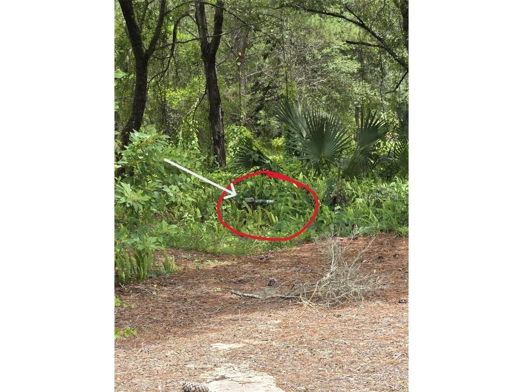 7431 SE 170th Avenue Road Ocklawaha FL 32179 - LAKE BESSIOLA TB8408292 image17