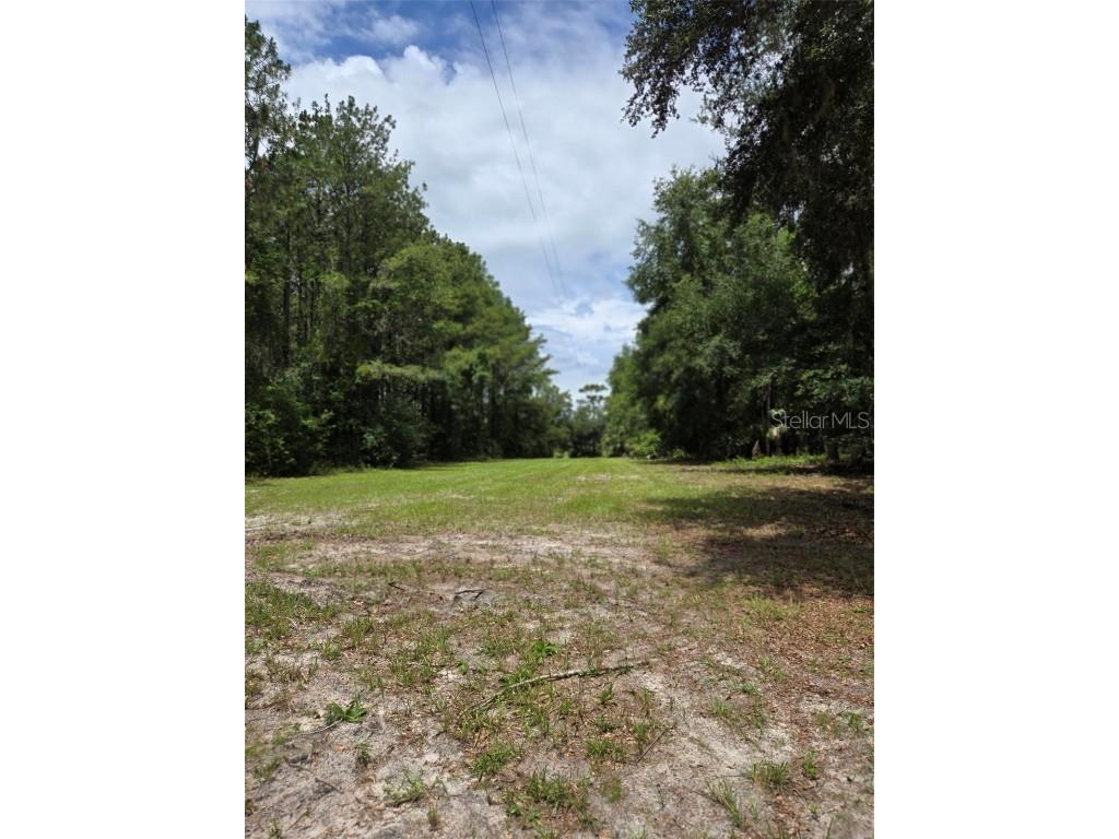 7431 SE 170th Avenue Road Ocklawaha FL 32179 - LAKE BESSIOLA TB8408292 image18