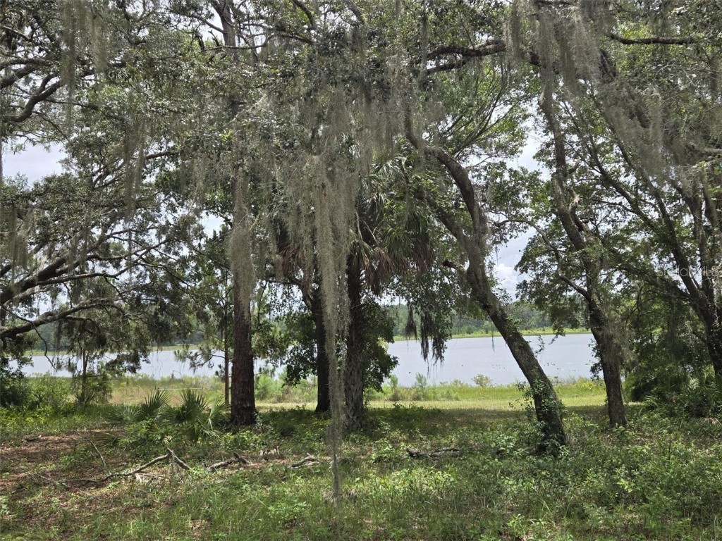 7431 SE 170th Avenue Road Ocklawaha FL 32179 - LAKE BESSIOLA TB8408292 image19