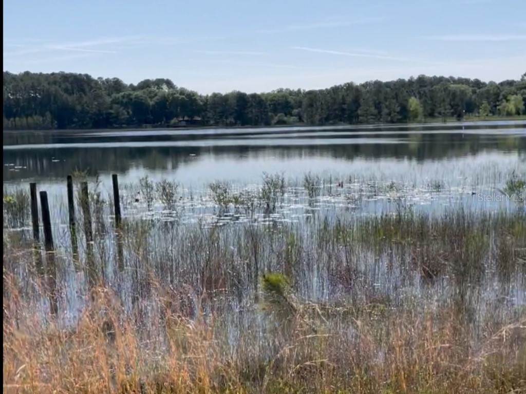 7431 SE 170th Avenue Road Ocklawaha FL 32179 - LAKE BESSIOLA TB8408292 image20
