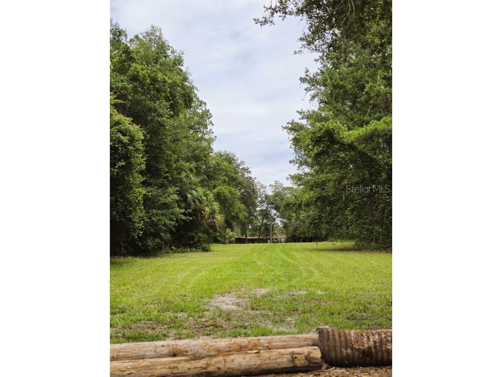 7431 SE 170th Avenue Road Ocklawaha FL 32179 - LAKE BESSIOLA TB8408292 image21