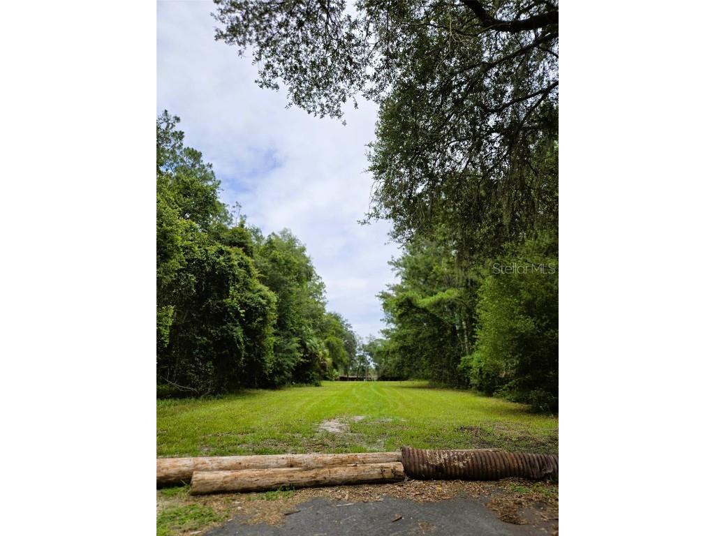 7431 SE 170th Avenue Road Ocklawaha FL 32179 - LAKE BESSIOLA TB8408292 image22