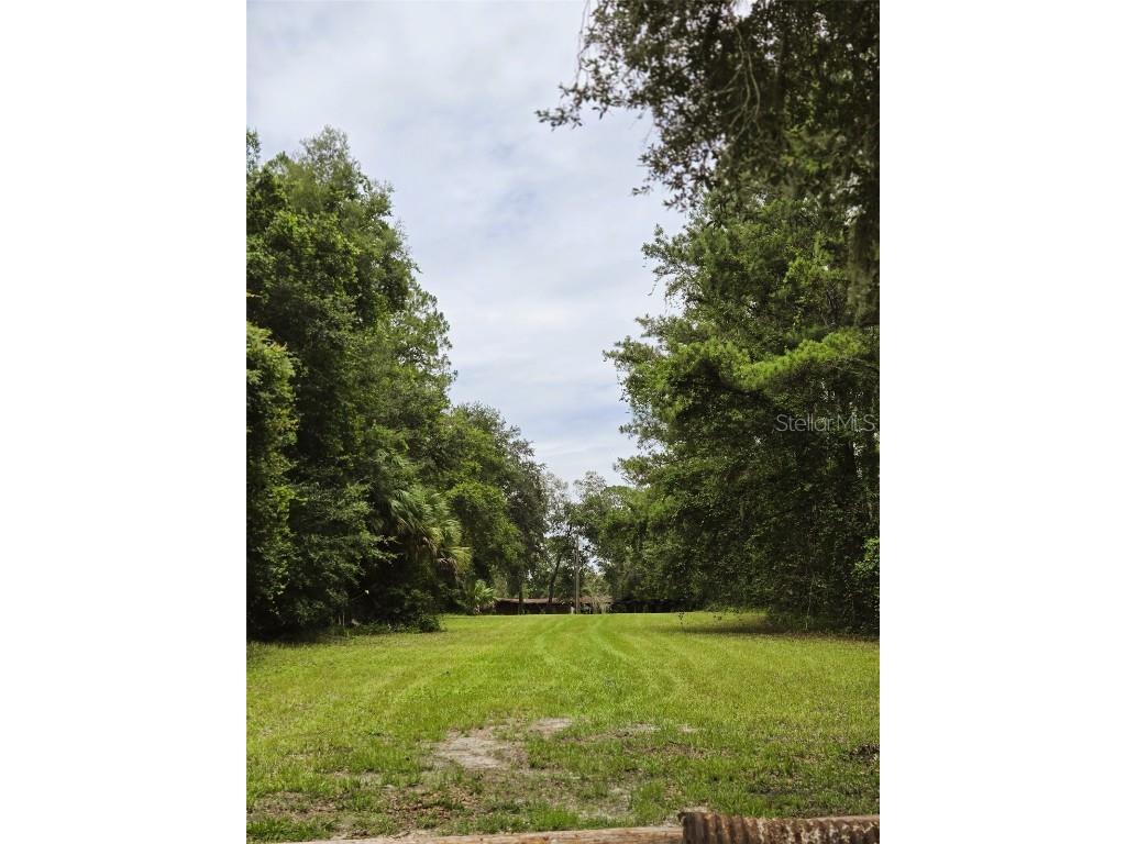 7431 SE 170th Avenue Road Ocklawaha FL 32179 - LAKE BESSIOLA TB8408292 image23