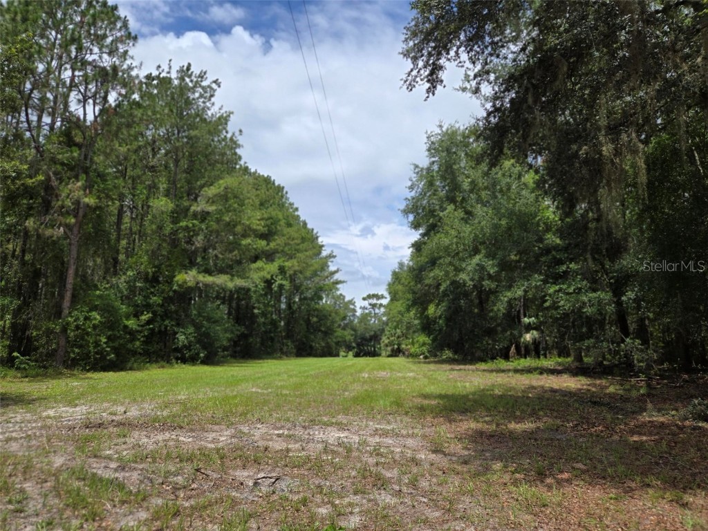 7431 SE 170th Avenue Road Ocklawaha FL 32179 - LAKE BESSIOLA TB8408292 image24