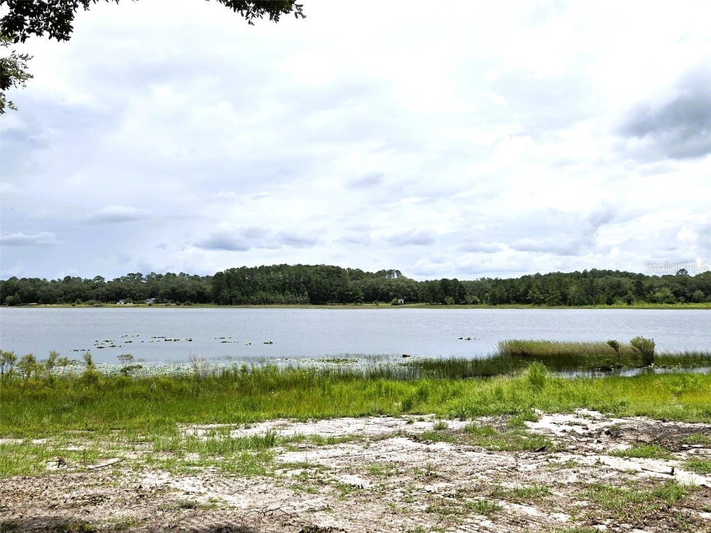 7431 SE 170th Avenue Road Ocklawaha FL 32179 - LAKE BESSIOLA TB8408292 image25