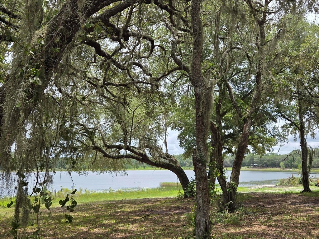 7431 SE 170th Avenue Road Ocklawaha FL 32179 - LAKE BESSIOLA TB8408292 image26